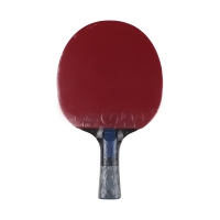 Ping pong racket Butterfly Dang Qiu DQX2
