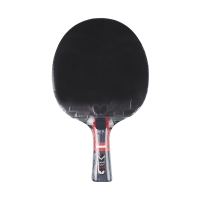 Ping pong racket Butterfly Dang Qiu DQX3