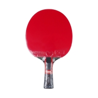 Ping pong racket Butterfly Dang Qiu DQX3