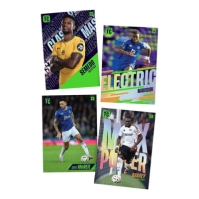 Panini PL 24/25 53
