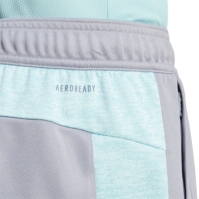 Pantalon scurt Combat adidas All Set Training