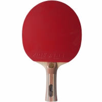 Patty for Ping Pong Atemi 5000 New Pro concave