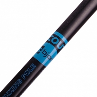 Poles Nordic Walking Pacer Bjorn blue 2/2 pieces