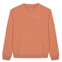 Champion Crewneck Jumper copil