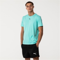 Tricou Puma Train All Day Essentials Heather barbat
