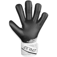 Reusch Attrakt Freege 99