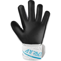 Reusch Attrakt Solid Ch99