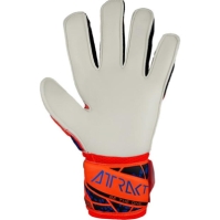 Reusch Attrakt Solid Ch99