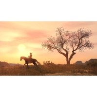 Rockstar Games Red Dead Redemption