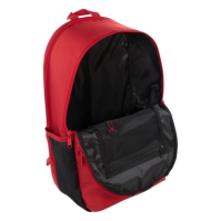 Ghiozdan Air Jordan Hbr Eco