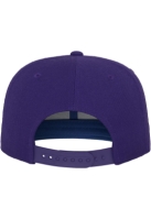 Classic Snapback Flexfit