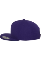 Classic Snapback Flexfit
