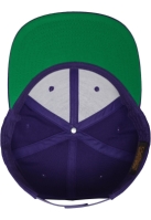Classic Snapback Flexfit