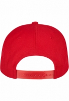 Classic Snapback Flexfit