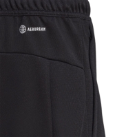 Pantalon scurt Combat adidas All Set Training