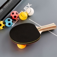 Ping pong balls Sunflex Sport 6 pcs. 20608