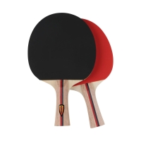 Sunflex TT Contest 20119 Ping Pong set