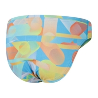 Speedo 6.5DigAOBrief In99