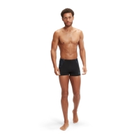 Speedo End+Spl AshV2 Sn99