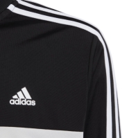 Trening adidas Essentials Tiberio