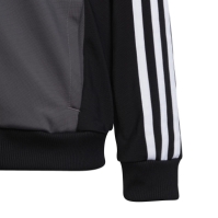 Trening adidas Essentials Tiberio