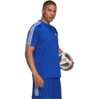 Camasa adidas Classic 3 Stripe Sereno T barbat