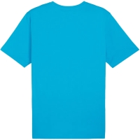 Camasa Men's T- Puma Team Rise Logo Jersey Cotton light blue 658705 02