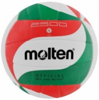 Volleyball Molten V5M2500