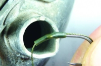 XX TUB KORDA TERMO-RETRACTABIL XL D 2,0MM L 55MM 8BUC