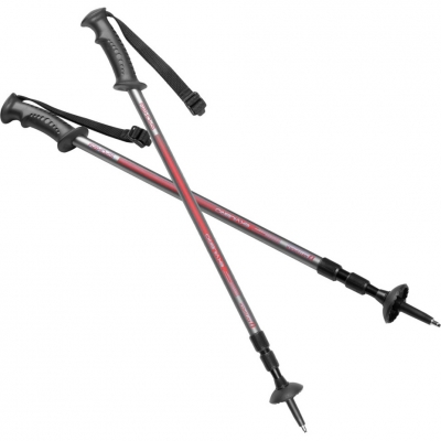 Trekking poles Spokey Ekvilibro GY RD gray red 924976