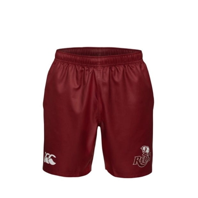 Pantalon scurt Combat Canterbury Queensland Reds Gym 2025 adulti