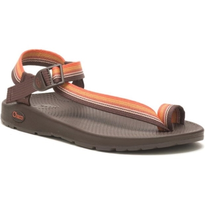 Chaco Bodhi Sn99
