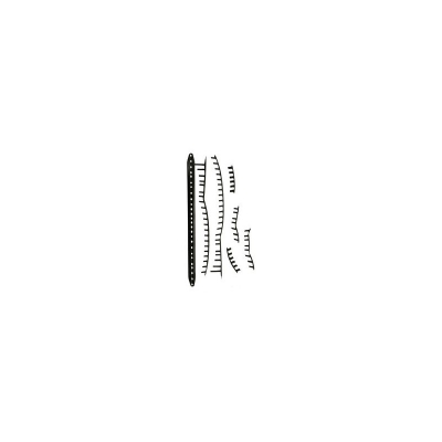 Grommet Head TK341 BK Gravity MP