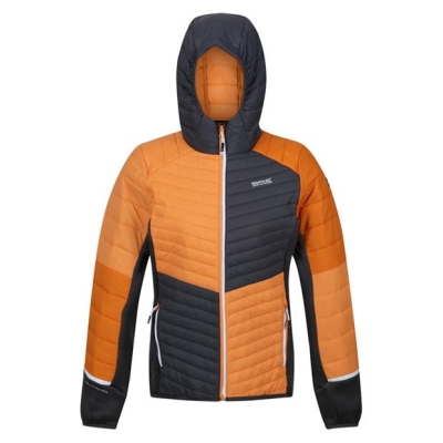 Regatta Trutton Jkt Ld99