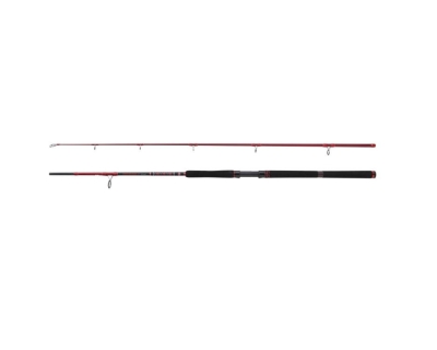 Lanseta PENN 2BUC SQUADRON III ALLROUND SPIN 3,0M 100-300G PURE FISHING