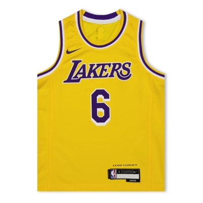 NBA Los Angeles Lakers LeBron James Jersey copil