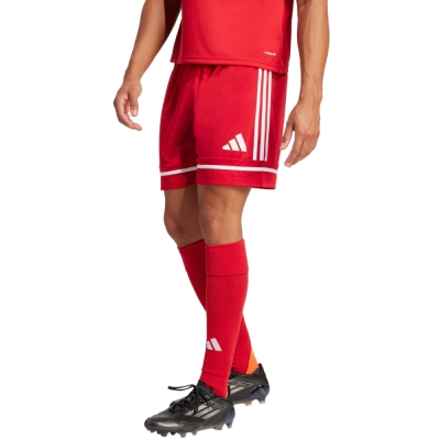Pantalon scurt Combat adidas Squadra 25 men's red JN5466