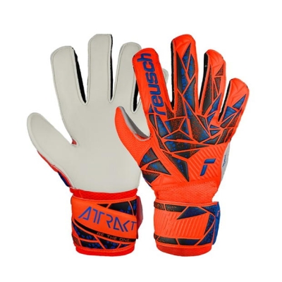 Reusch Attrakt Solid Ch99