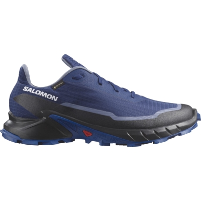 Salomon Pantofi Alergare Barbati Alphacross 38 Gore-Tex Bleumarin