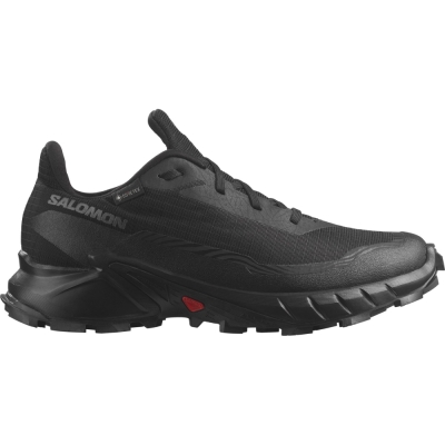 Salomon Pantofi Alergare Femei Alphacross 38 Gore-Tex W Negru