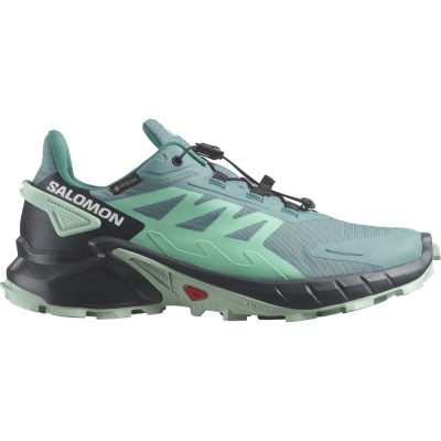 Salomon Pantofi Alergare Femei Supercross 4 Gore-Tex W Verde