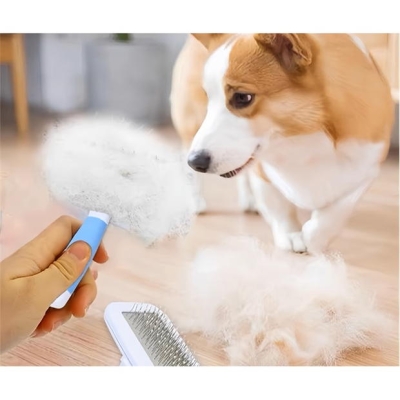 Waggy Tails 3 Piece Groom Set