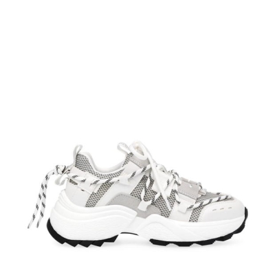 Pantof sport Steve Madden Tazmania