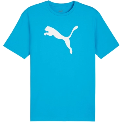 Camasa Men's T- Puma Team Rise Logo Jersey Cotton light blue 658705 02
