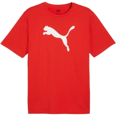 Camasa Men's T- Puma Team Rise Logo Jersey Cotton red 658705 01
