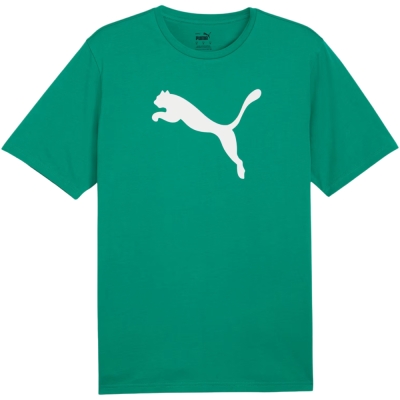 Camasa Men's T- Puma Team Rise Logo Jersey Cotton green 658705 05