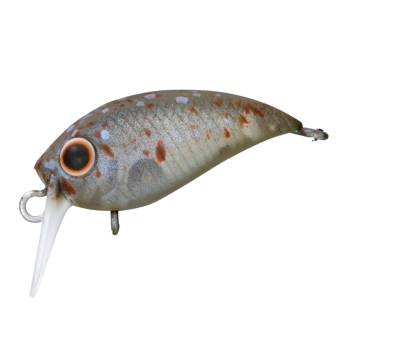 VOBLER PRESSO WABCRA 25F SR 2,5CM 1,5G S O P marime 12 copii DAIWA