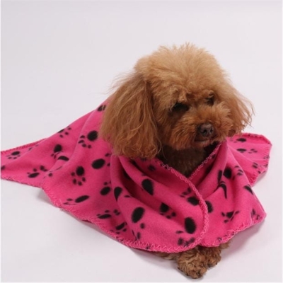 Bluza Waggy Tails Blanket