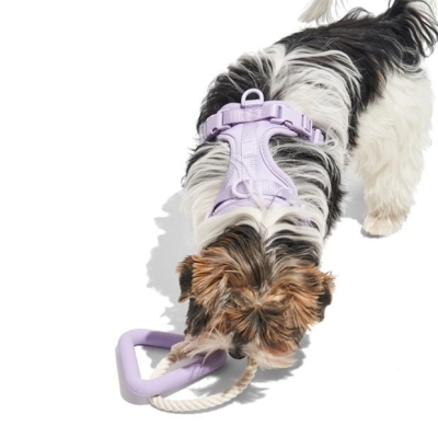 Wild One Triangle Tug Dog Toy Small