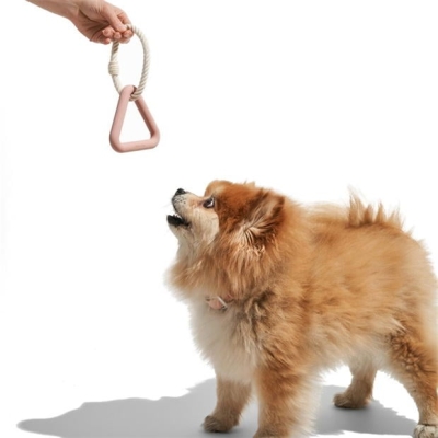 Wild One Triangle Tug Dog Toy Small